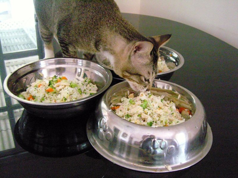 Choosing the Right Ingredients