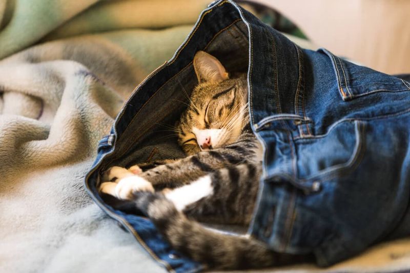 Claiming Your Belongings