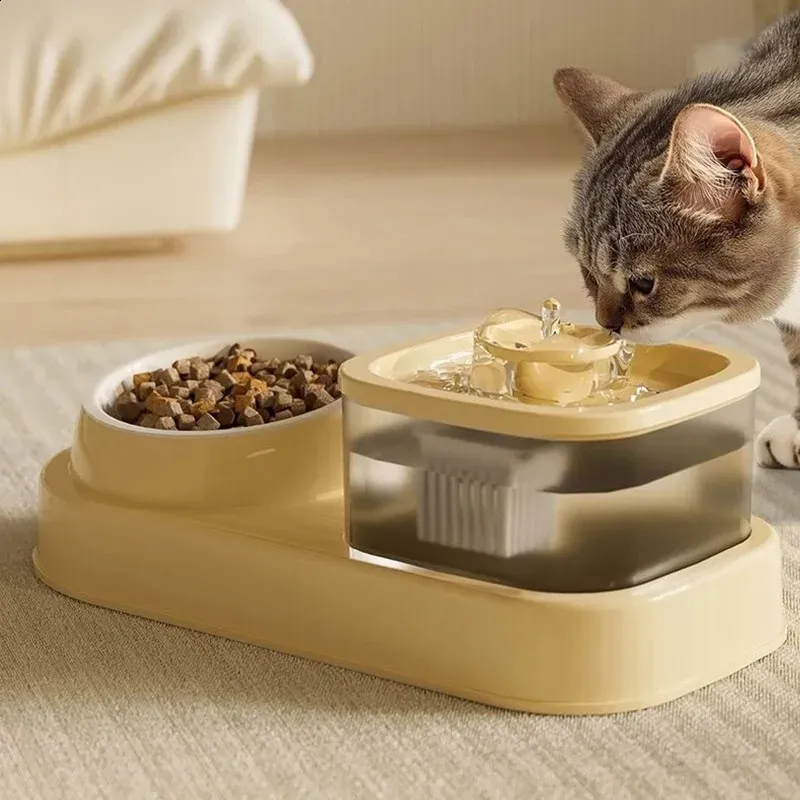 Clean Food and Water Bowls