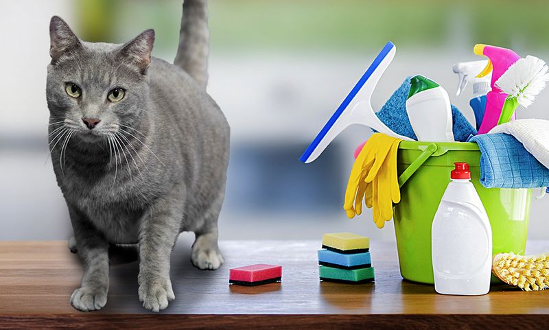 Cleaning Products