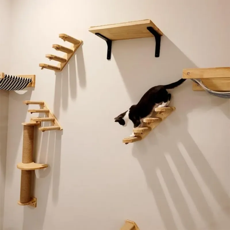 Climbing Opportunities