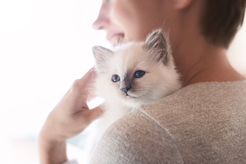 Comfortable with Human Handling