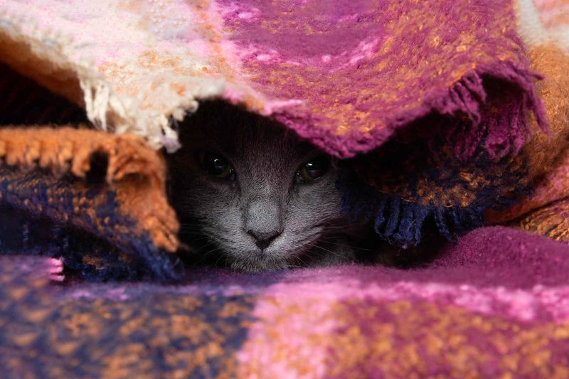 Complete Withdrawal or Hiding