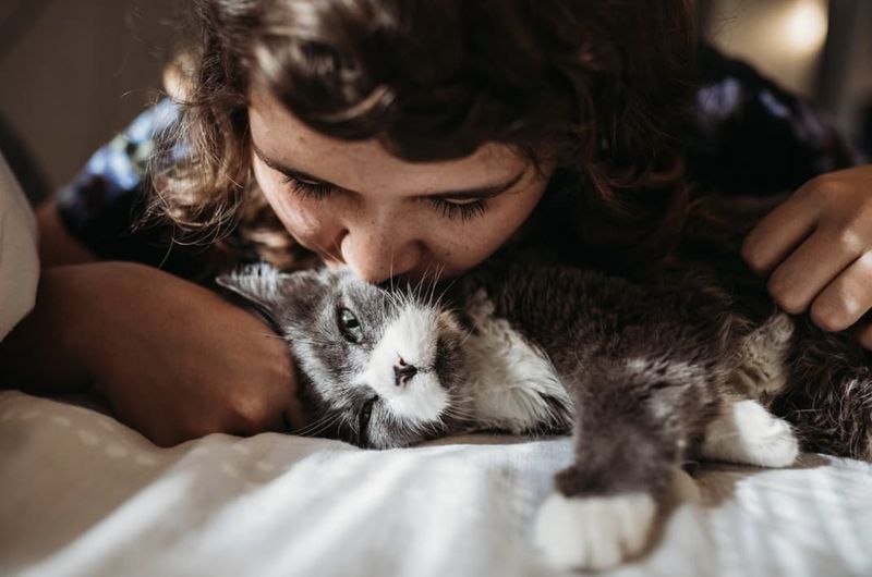 Consider At-Home Euthanasia