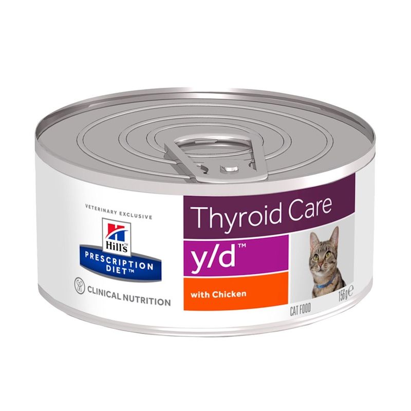 Consider Special Dietary Needs