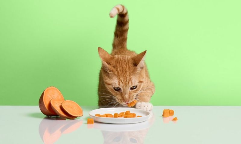 Cooked Carrots