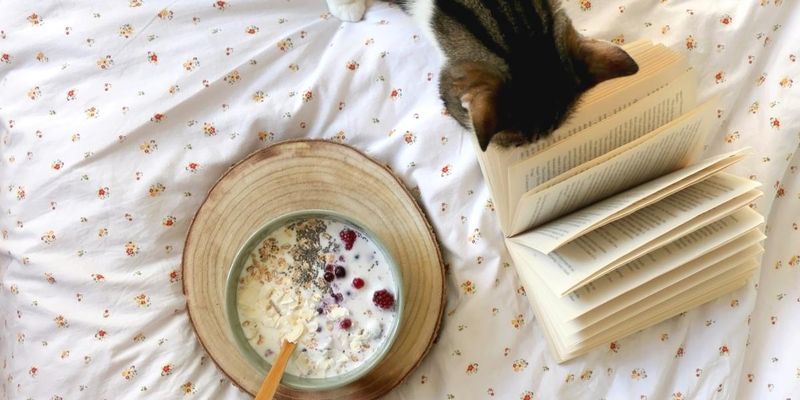 Cooked Oatmeal