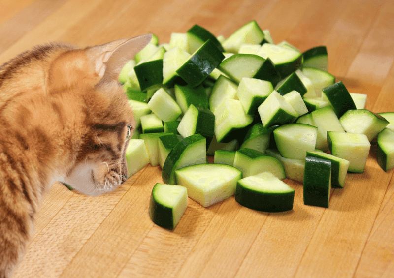 Cooked Zucchini