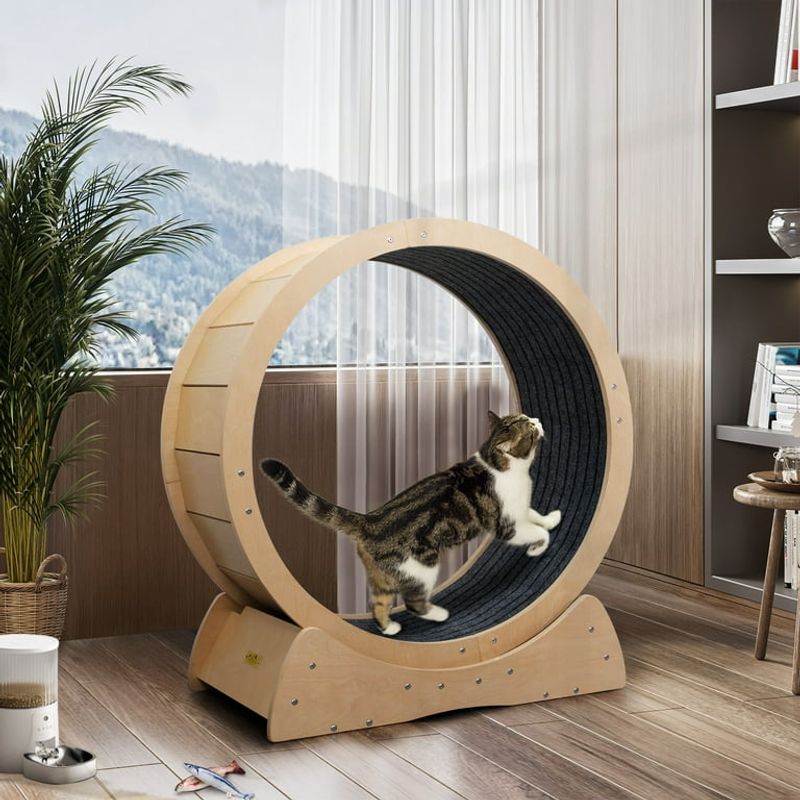 Coziwow Cat Exercise Wheel