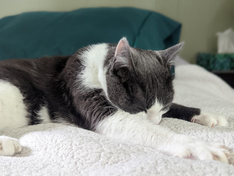 Cozy Blanket or Bed Washing