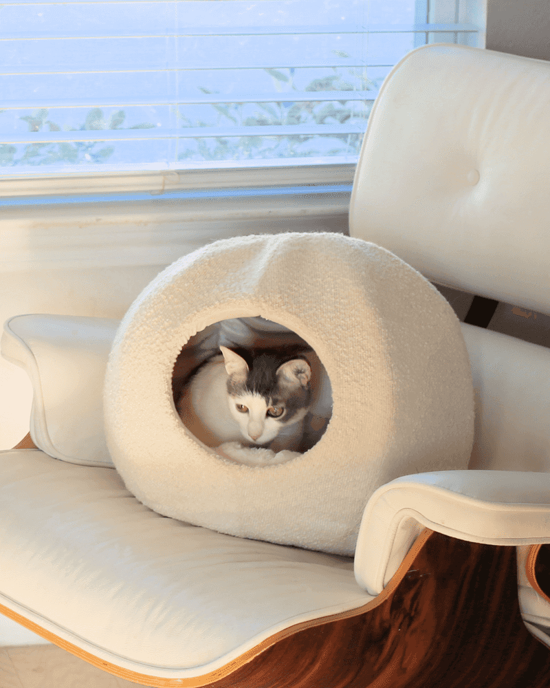 Create Cozy Hiding Spots
