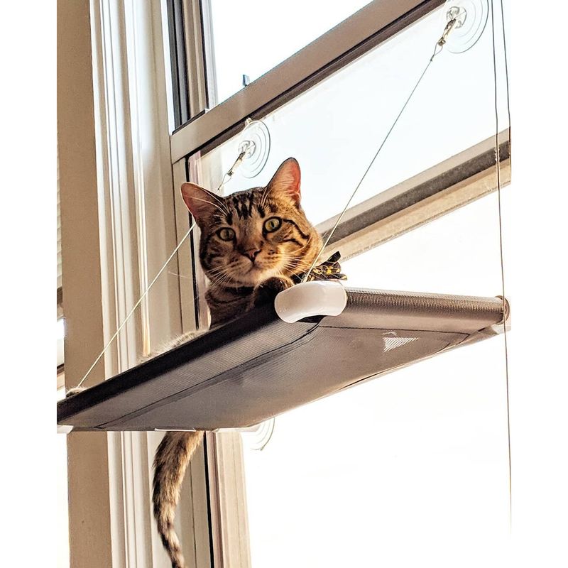 Create Window Viewing Stations