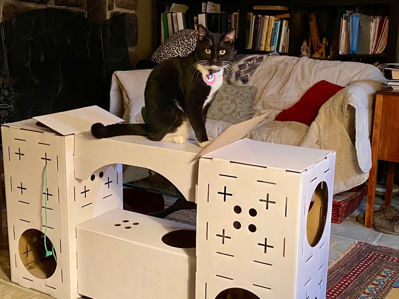Create a Cardboard Castle Adventure