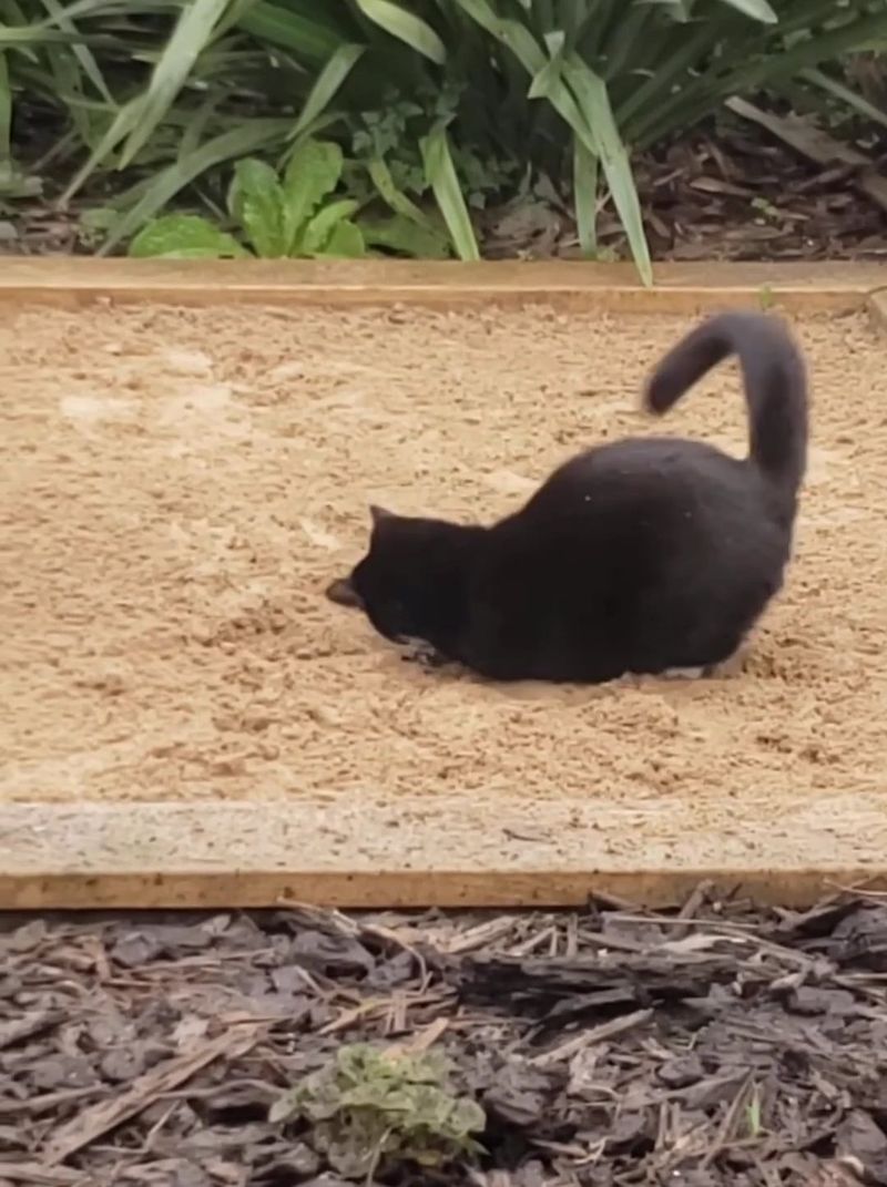 Create a Dedicated Digging Area