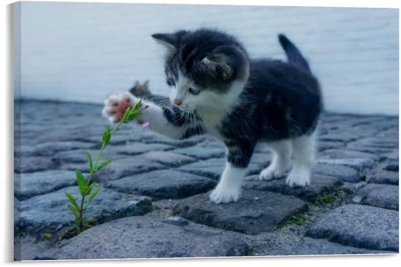 Curiosity About Surroundings