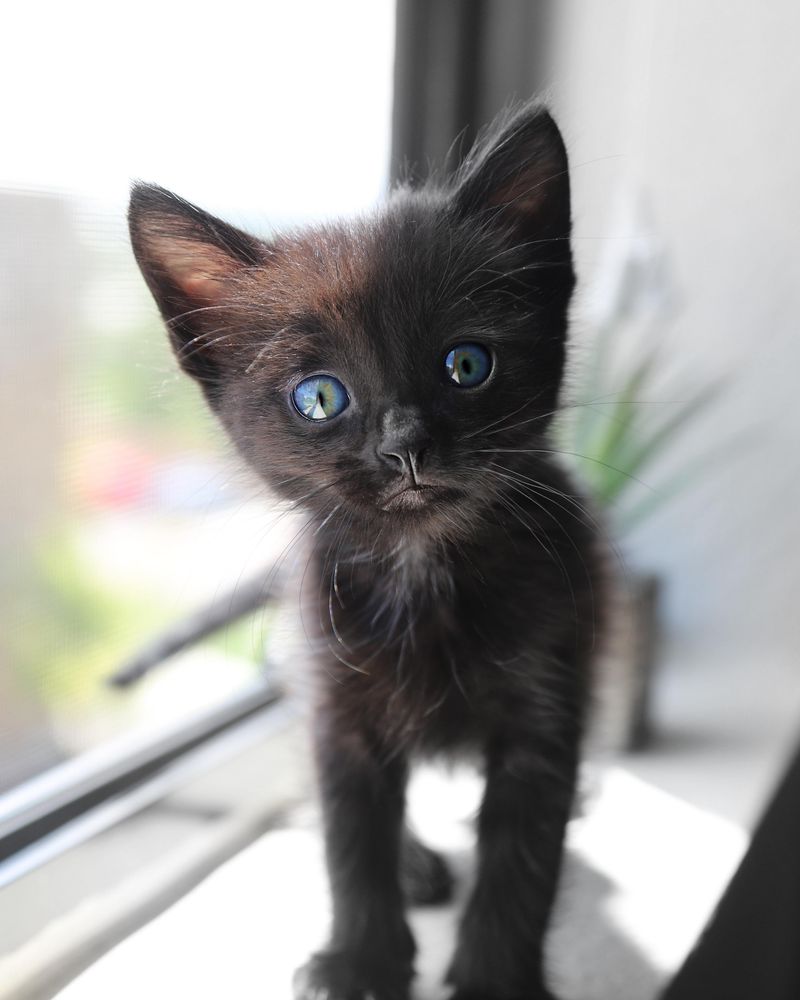 Curious Exploration