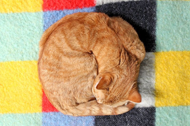 Curling Into Tight Balls