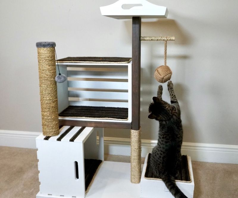 DIY Cat Condo