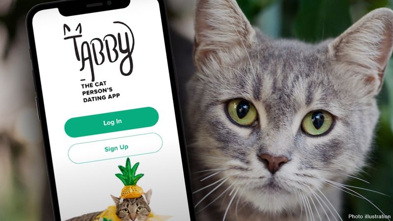 Dating Profiles That Mention