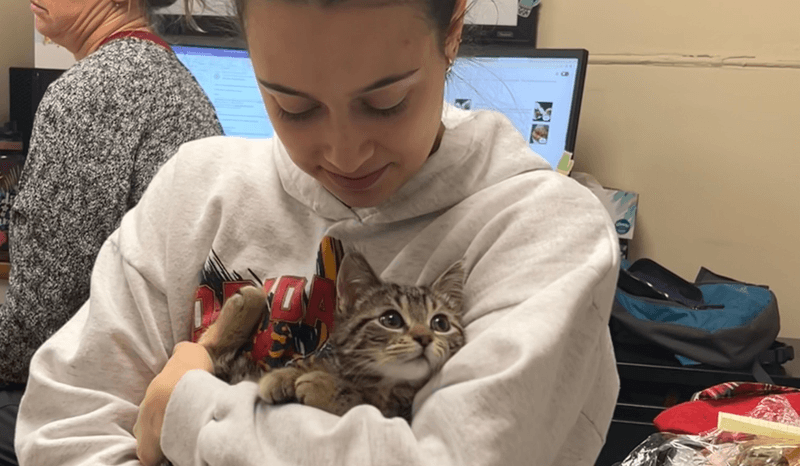 Decreased Anxiety with Cats