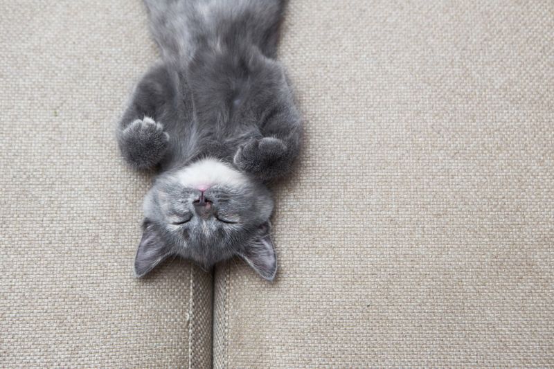 Deeper Sleep Patterns Emerge