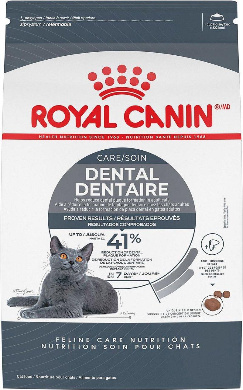 Dental Health Benefits of Dry Cat Food