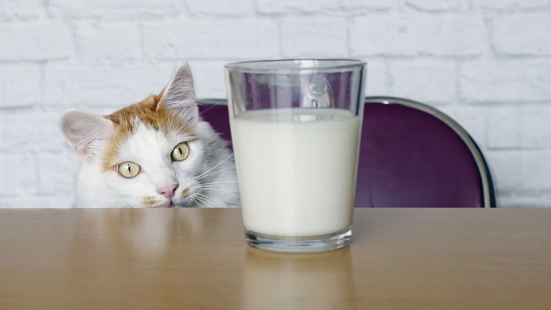 Disrupts Diet Balance