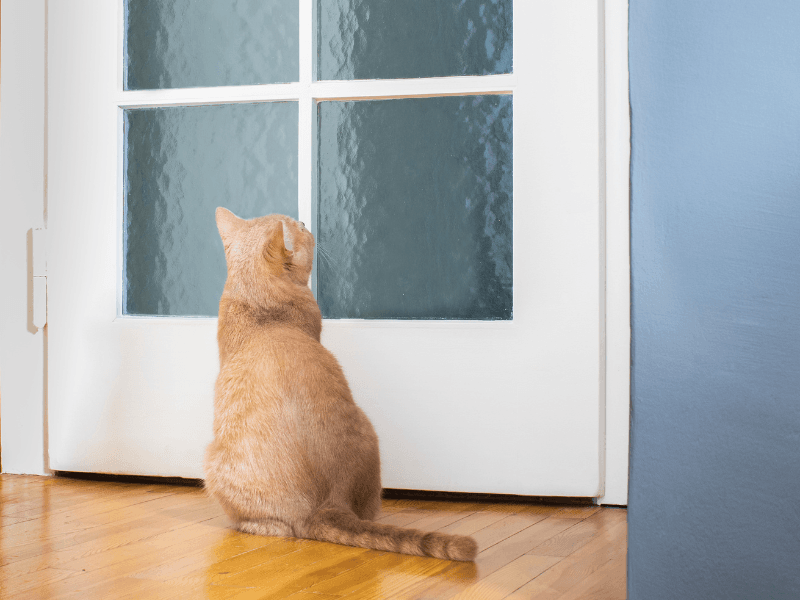 Door Opener Service