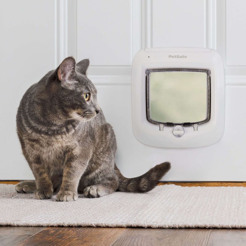 Electronic Cat Door
