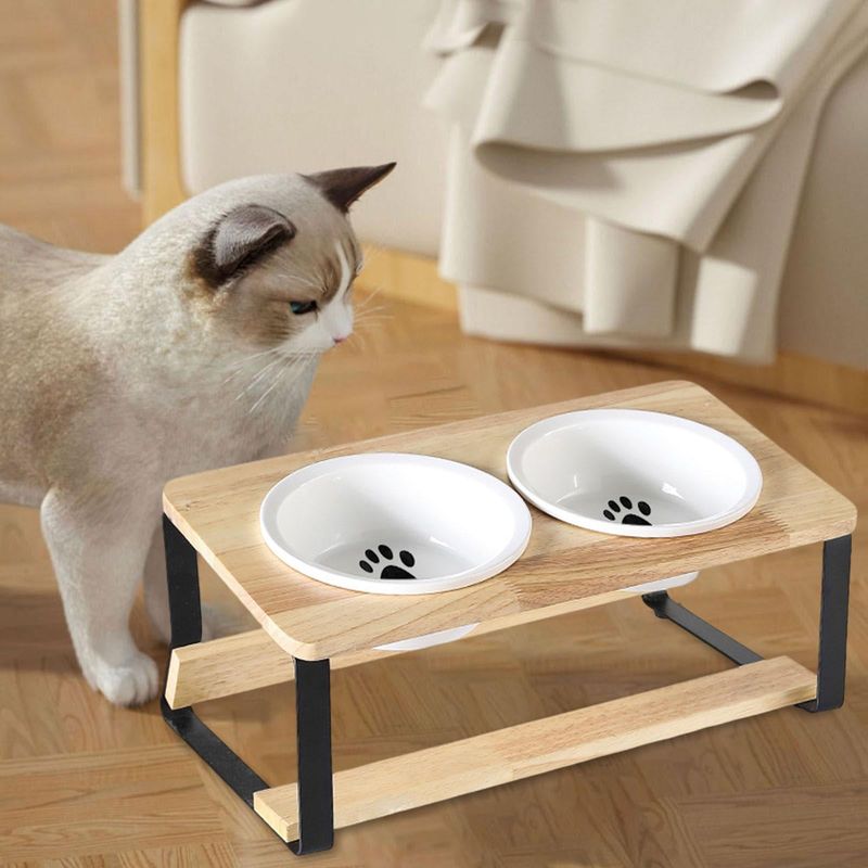 Elevate Their Food Bowls