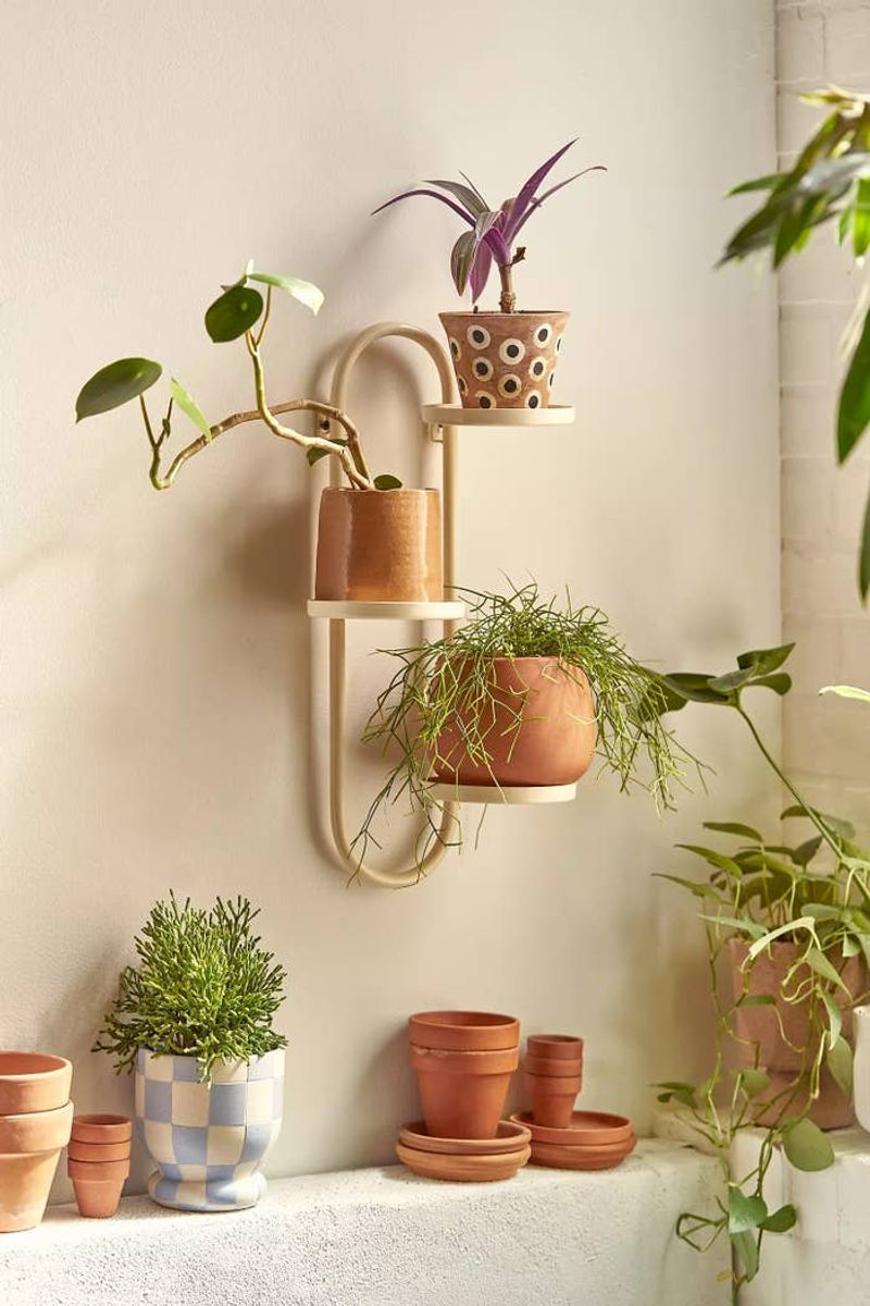 Elevate Your Plants