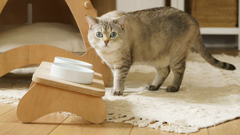 Elevated Food Bowls Reduce Neck Strain