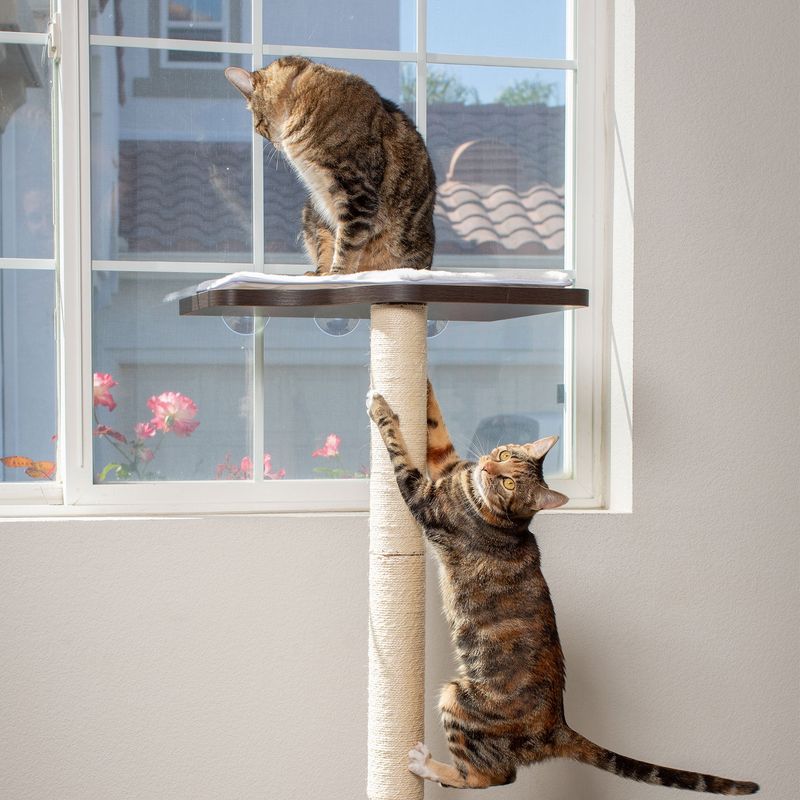 Elevated Perches