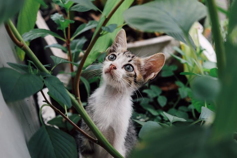 Embrace Your Curiosity