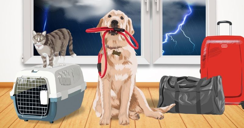 Emergency Preparedness