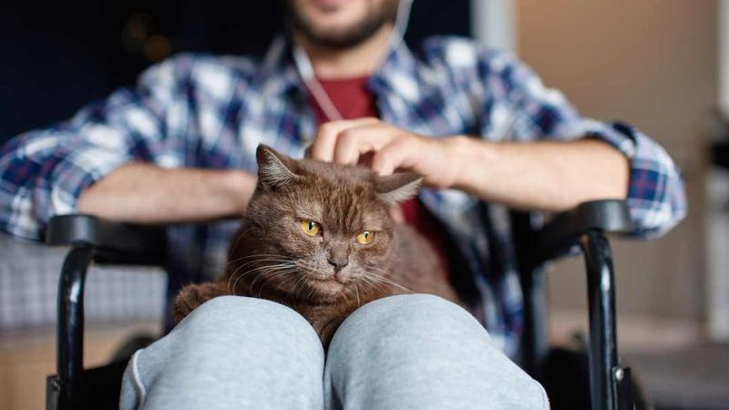 Emotional Intelligence Detectors