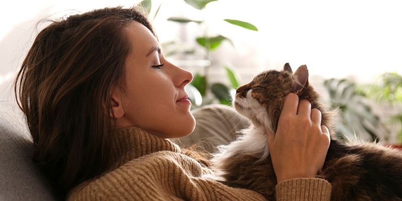 Emotional Perception Without Judgment