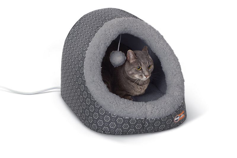 Enclosed Cat Cave