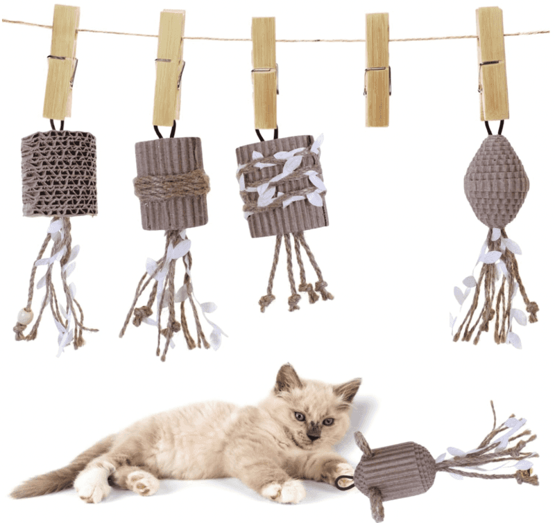 Encouraging Sustainable Pet Products