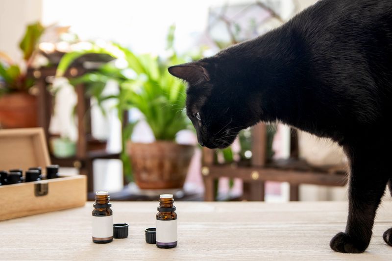Essential Oils and Diffusers