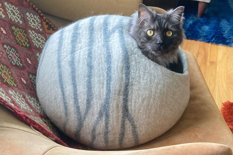 Establish Cozy Hideaways