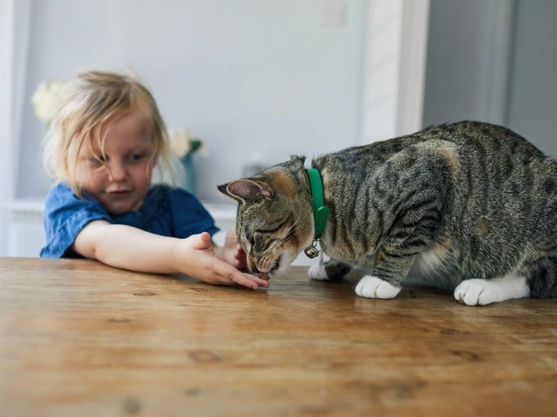 Excellent Family Members for Children