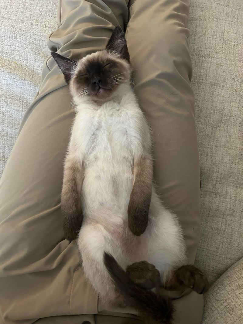 Exposed Belly During Naps