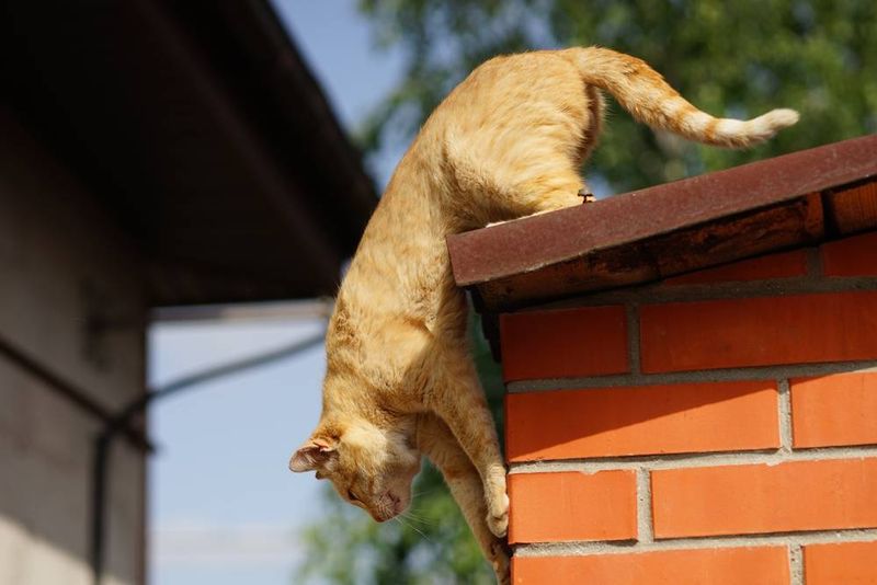 Extraordinary Agility