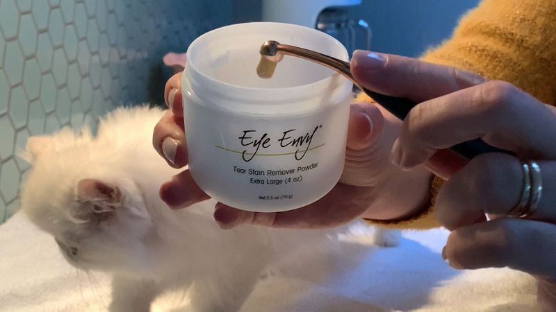 Eye Care Essentials