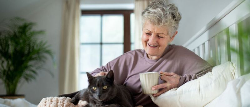 Fall Prevention Partners