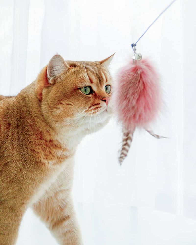 Feather Wand Toys