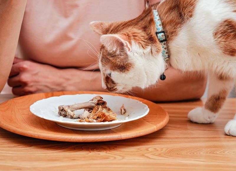 Feeding an Improper Diet