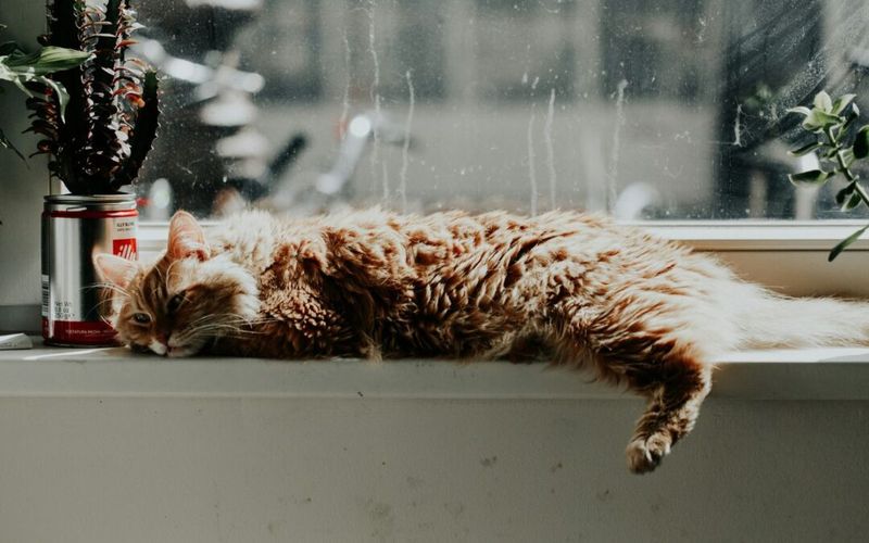 Finding Joy in Simplicity