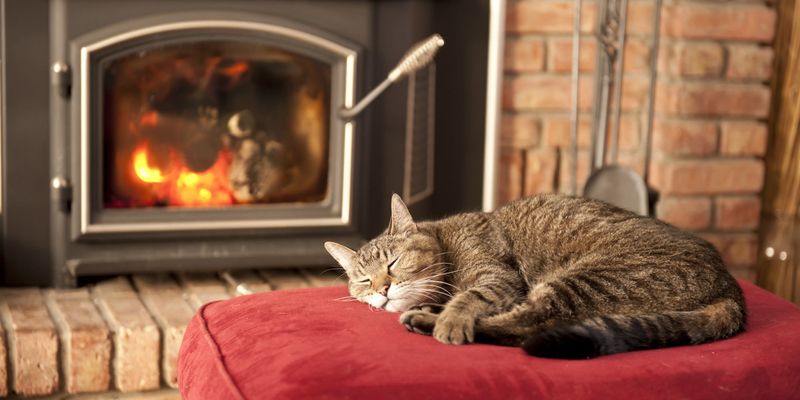 Fireplace Fears